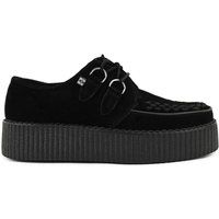 Viva High Plateau-Creepers