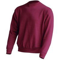 Klassisches Sweatshirt mit Rundhalsausschnitt