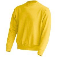 Klassisches Sweatshirt mit Rundhalsausschnitt