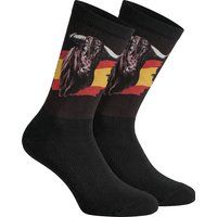 Majestätisches spanisches Stiermotiv