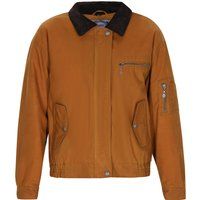Bomberjacke aus Baumwoll-Canvas mit Cordkragen