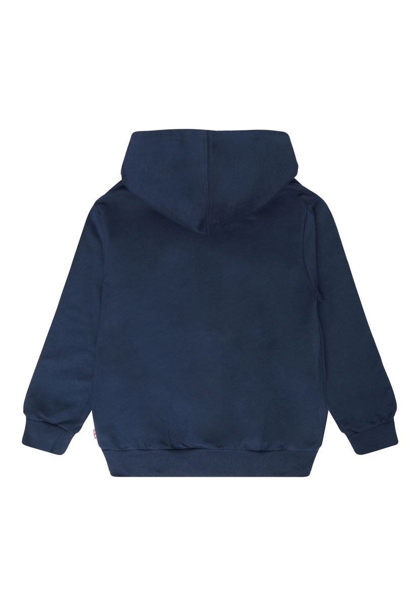 Ninjago Grafikprint Kinder-Hoodie