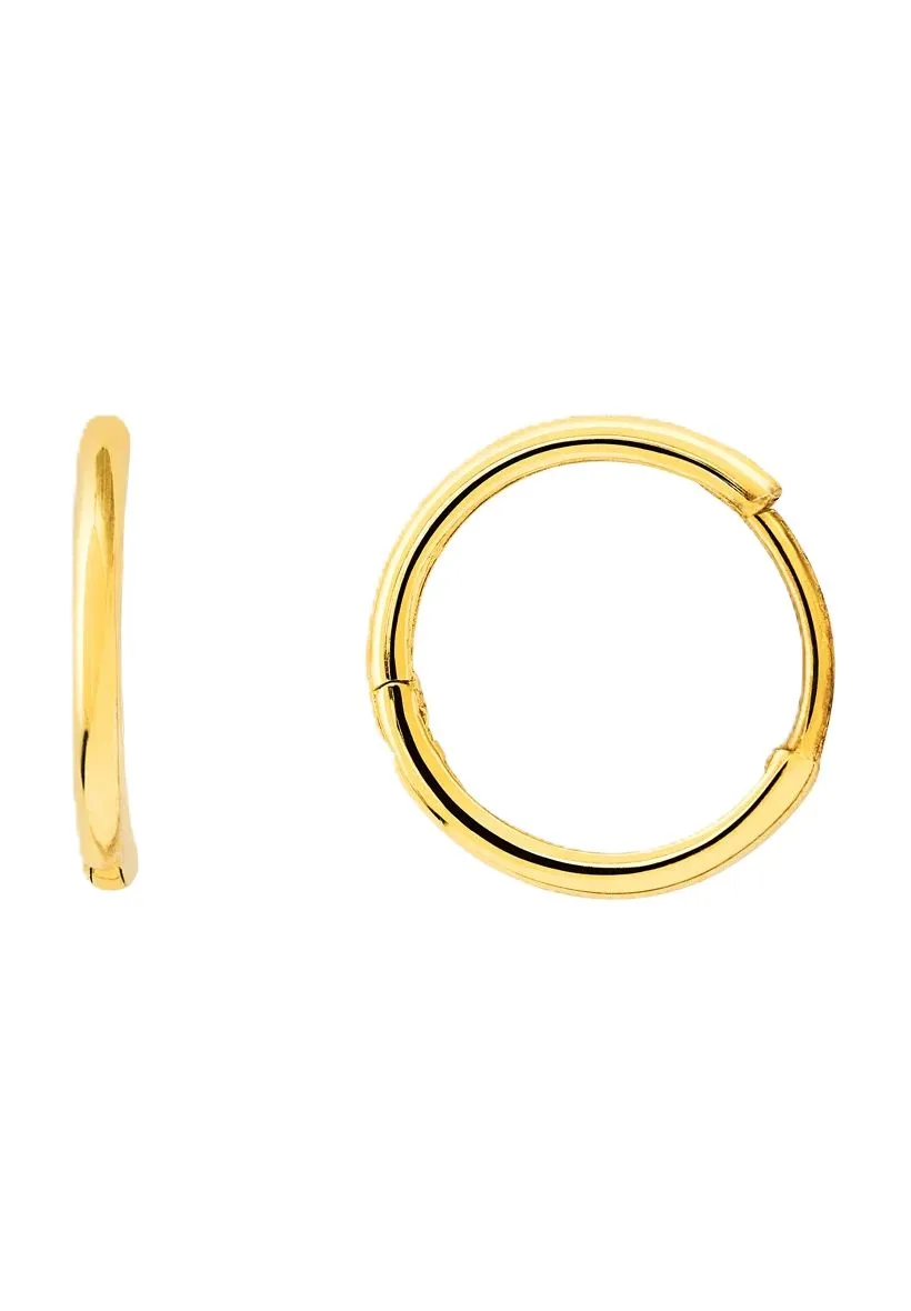 Klassische Goldene Creolen mit Klappverschluss