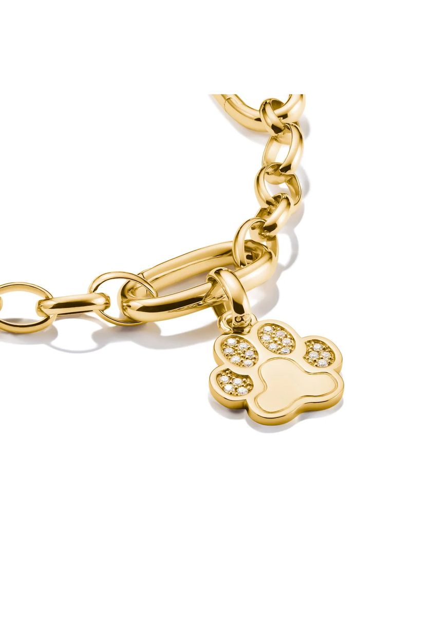 Funkelnder Pfoten Charm-Anhänger