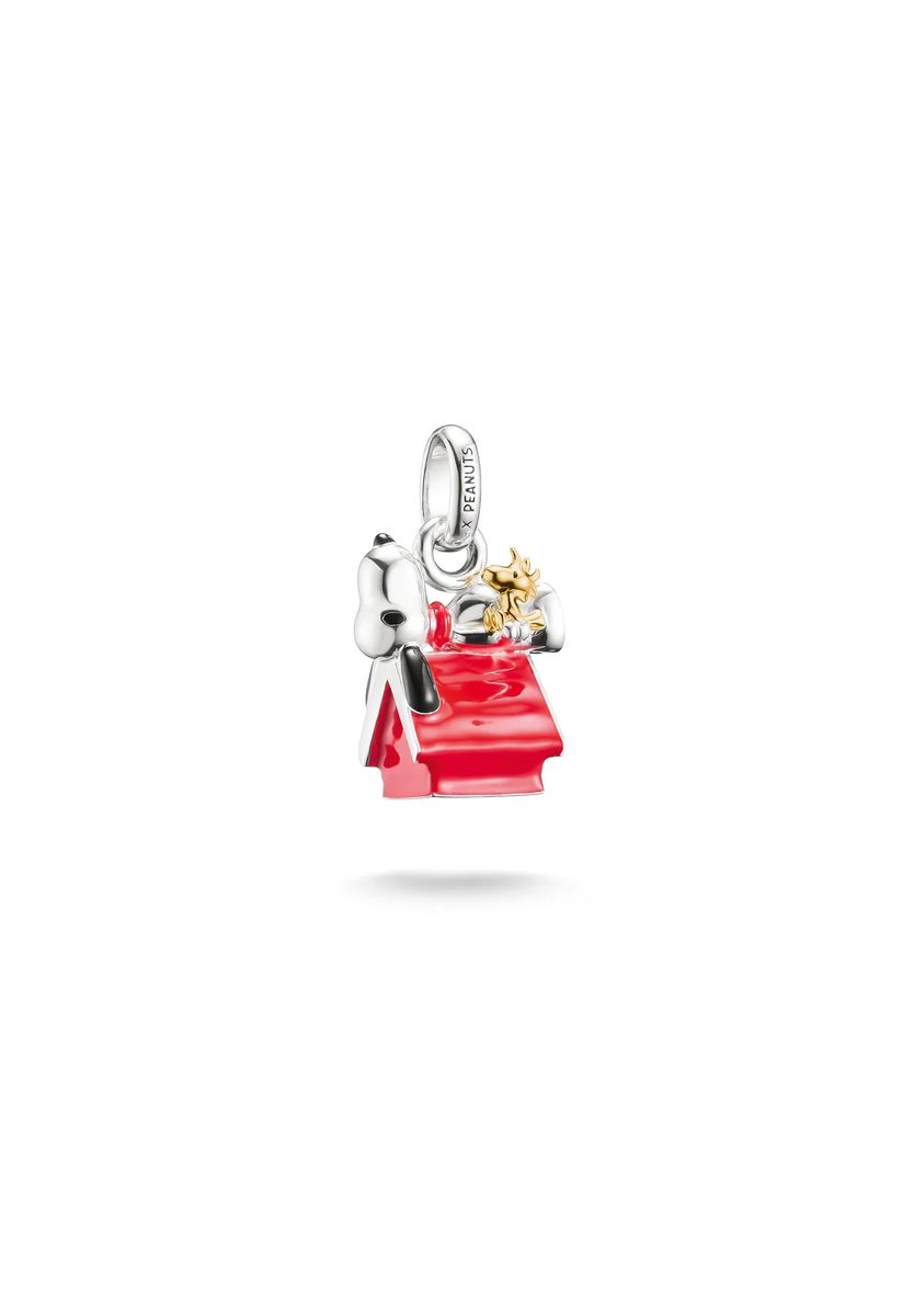 Snoopy & Woodstock Hundehütte Charm