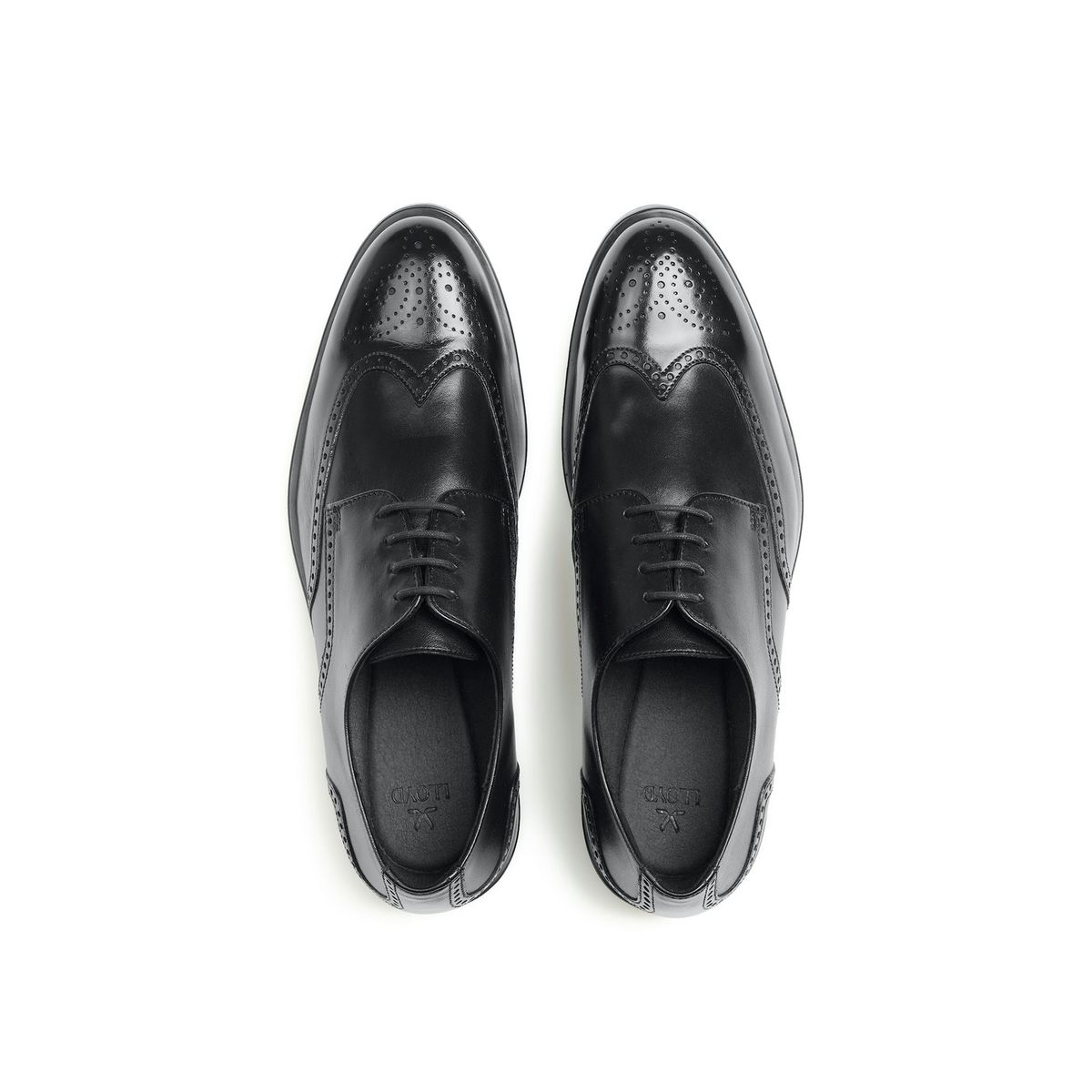Elegante Brogue-Schnürschuhe mit Lyralochung