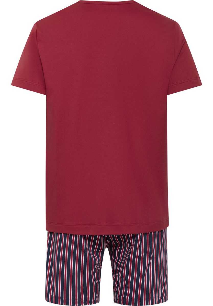 V-Ausschnitt Shirt und Streifen-Shorts