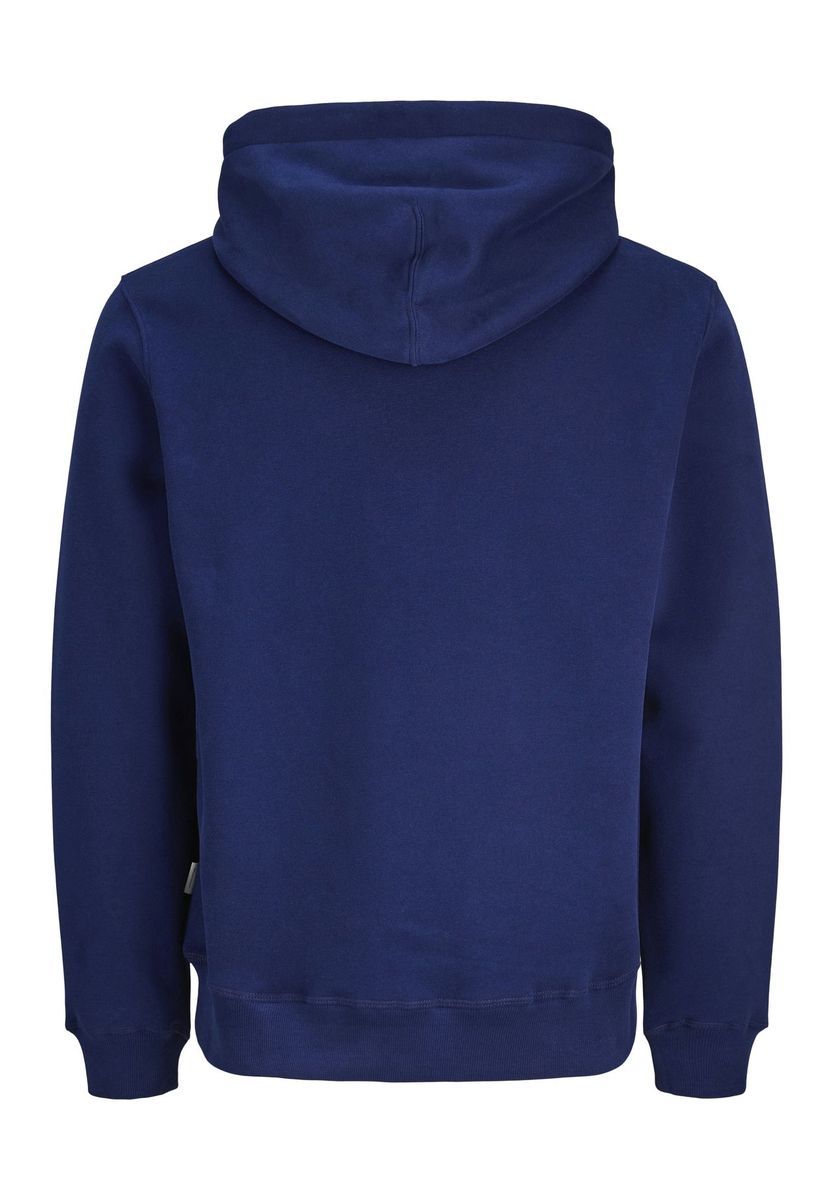 Kapuzenpullover mit gestickter Grafik