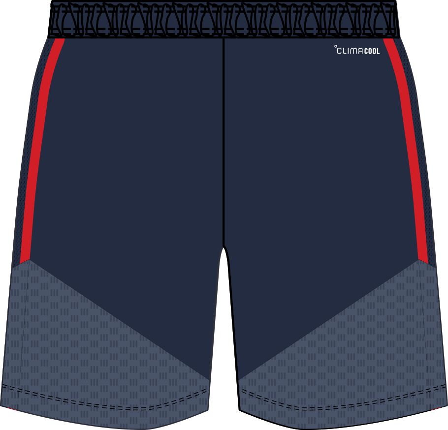 Trainingsshorts mit grafischem Saum
