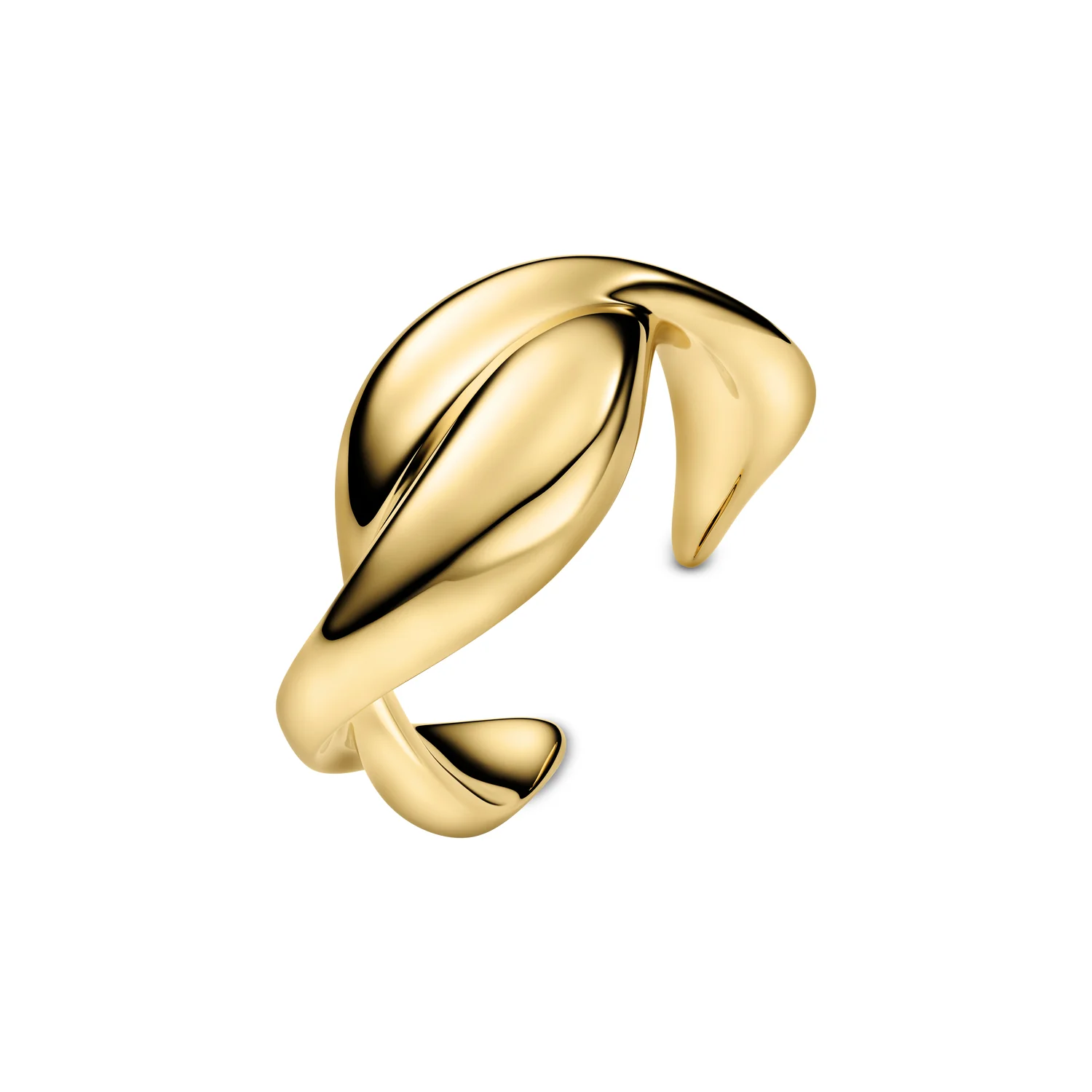 Skulpturale Ear Cuff Blattform