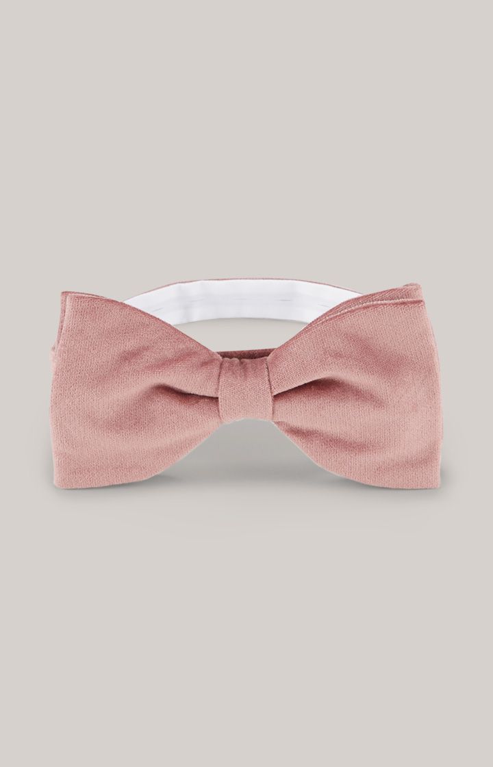 Elegante Samtfliege