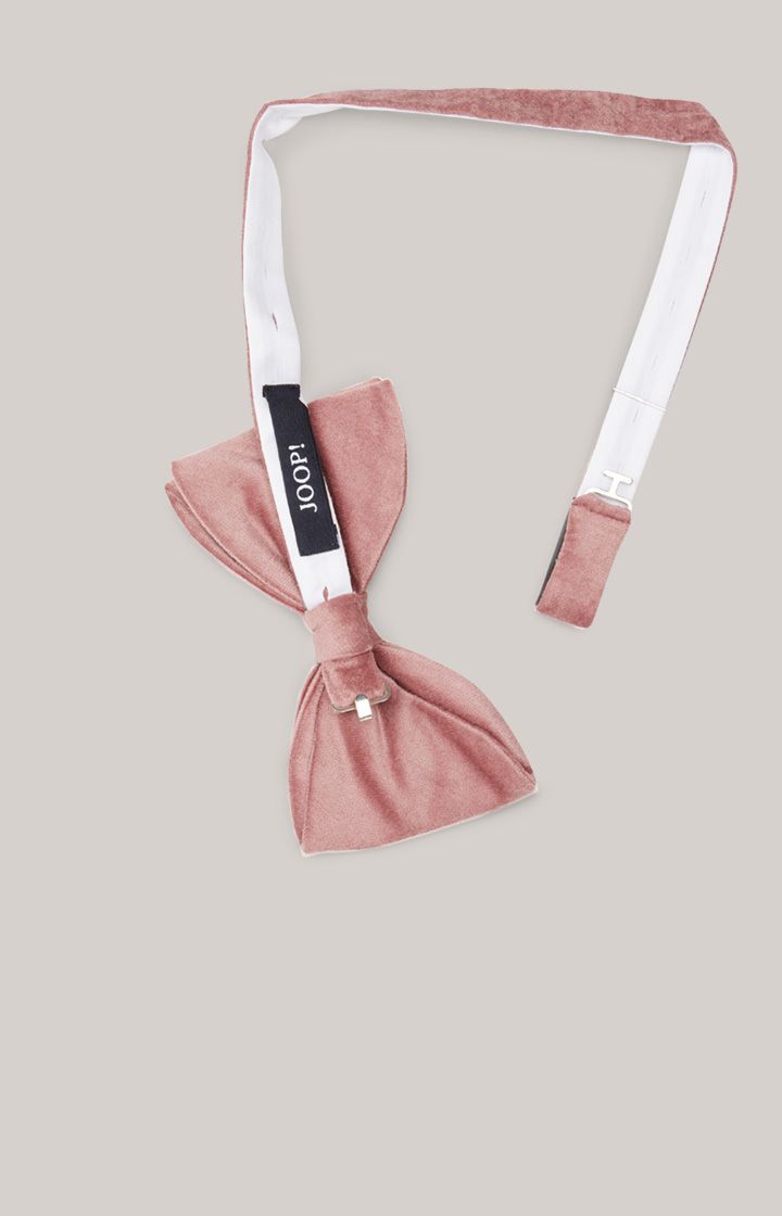 Elegante Samtfliege