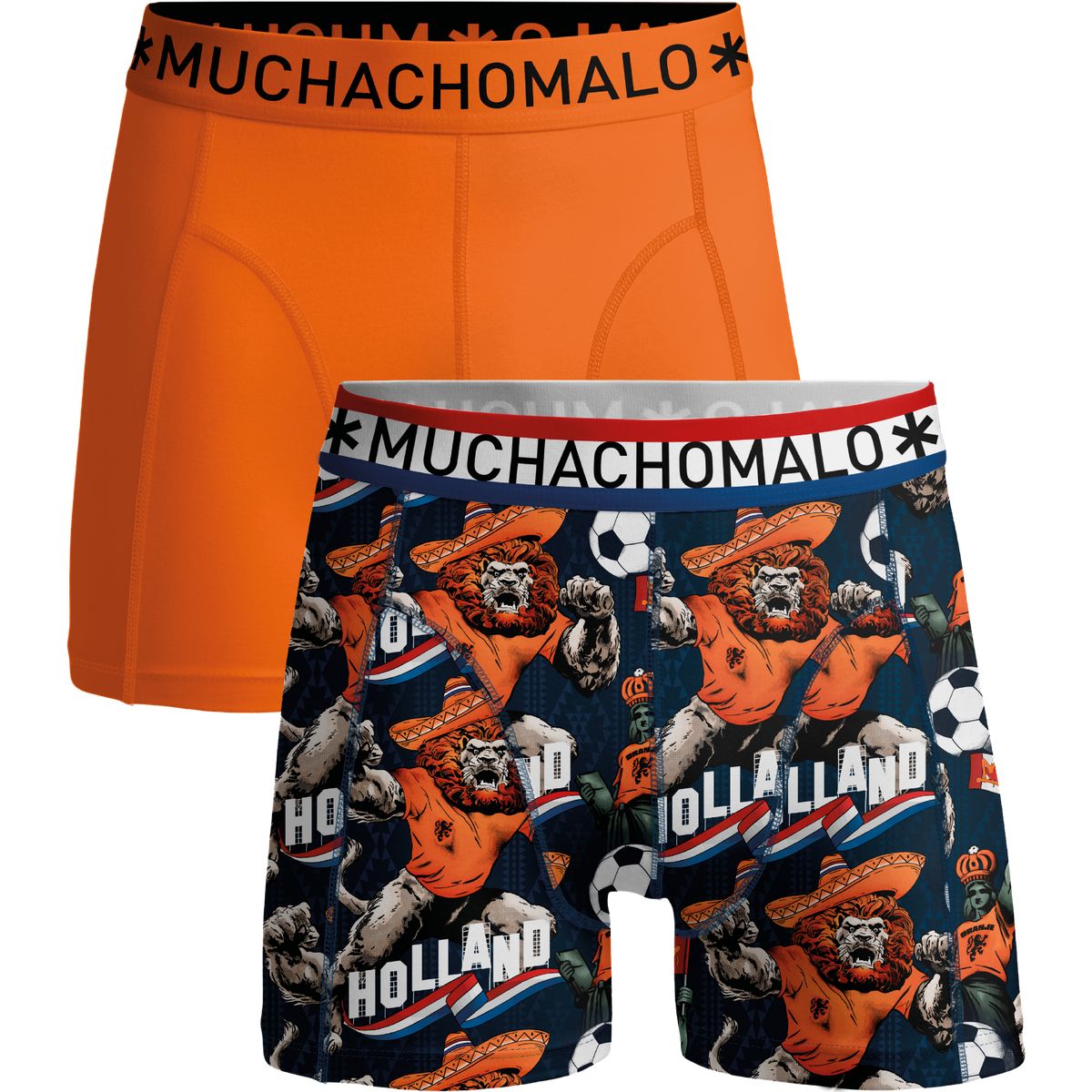 2er-Pack Boxershorts mit Holland-Motiv