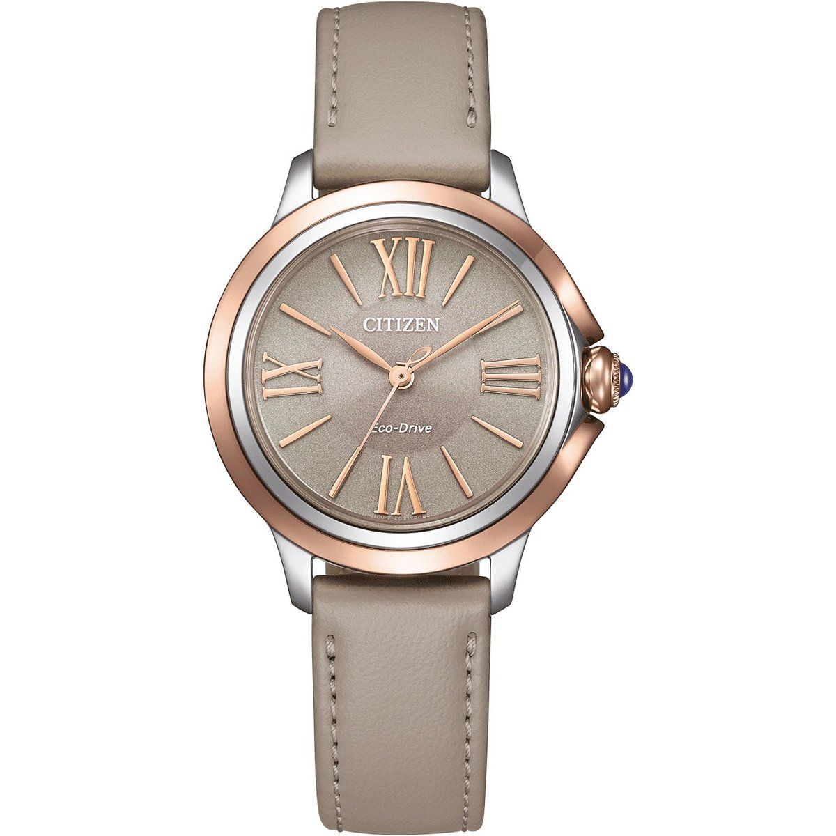 Klassischer Zeitmesser mit Lederarmband