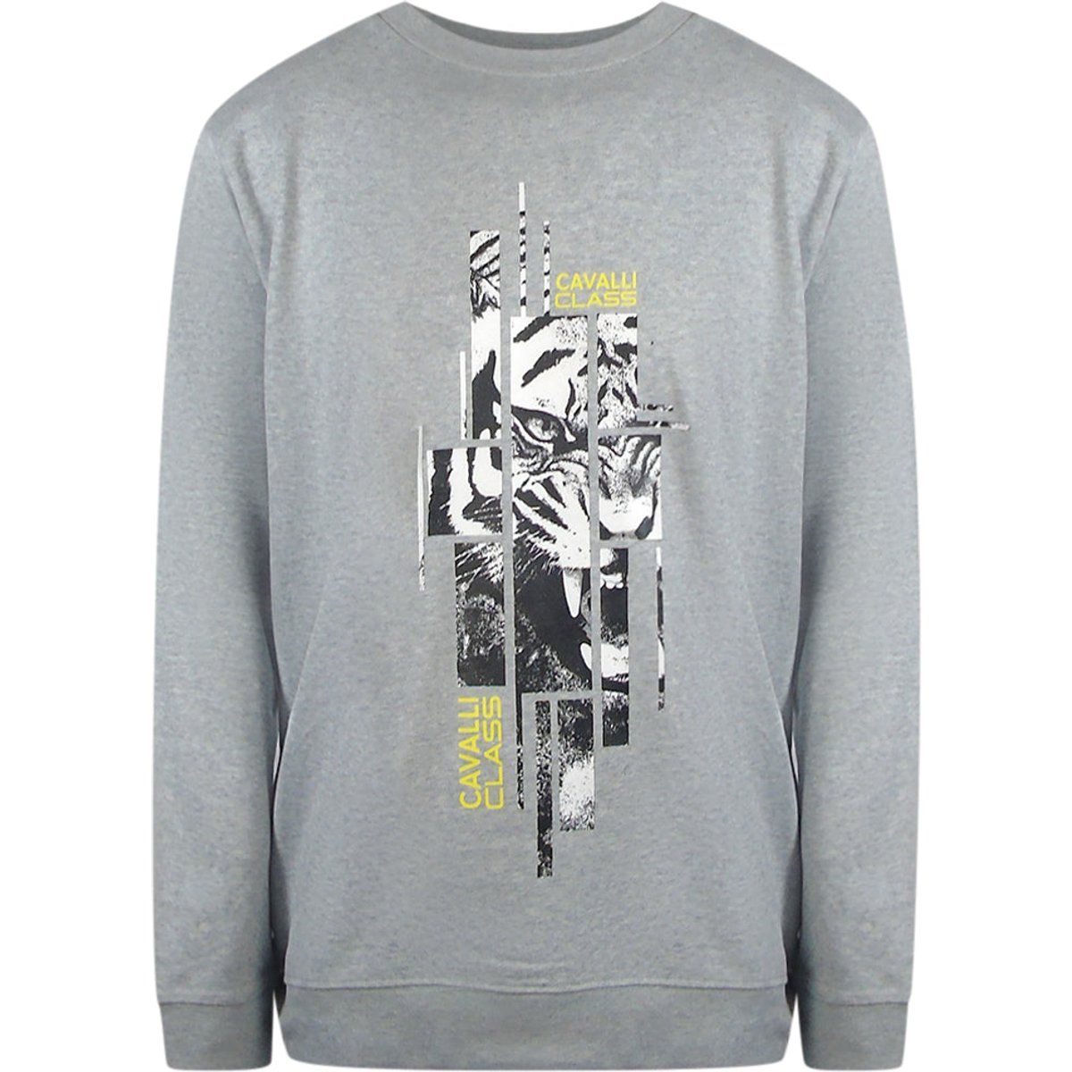 Graues Sweatshirt mit Tiger-Print