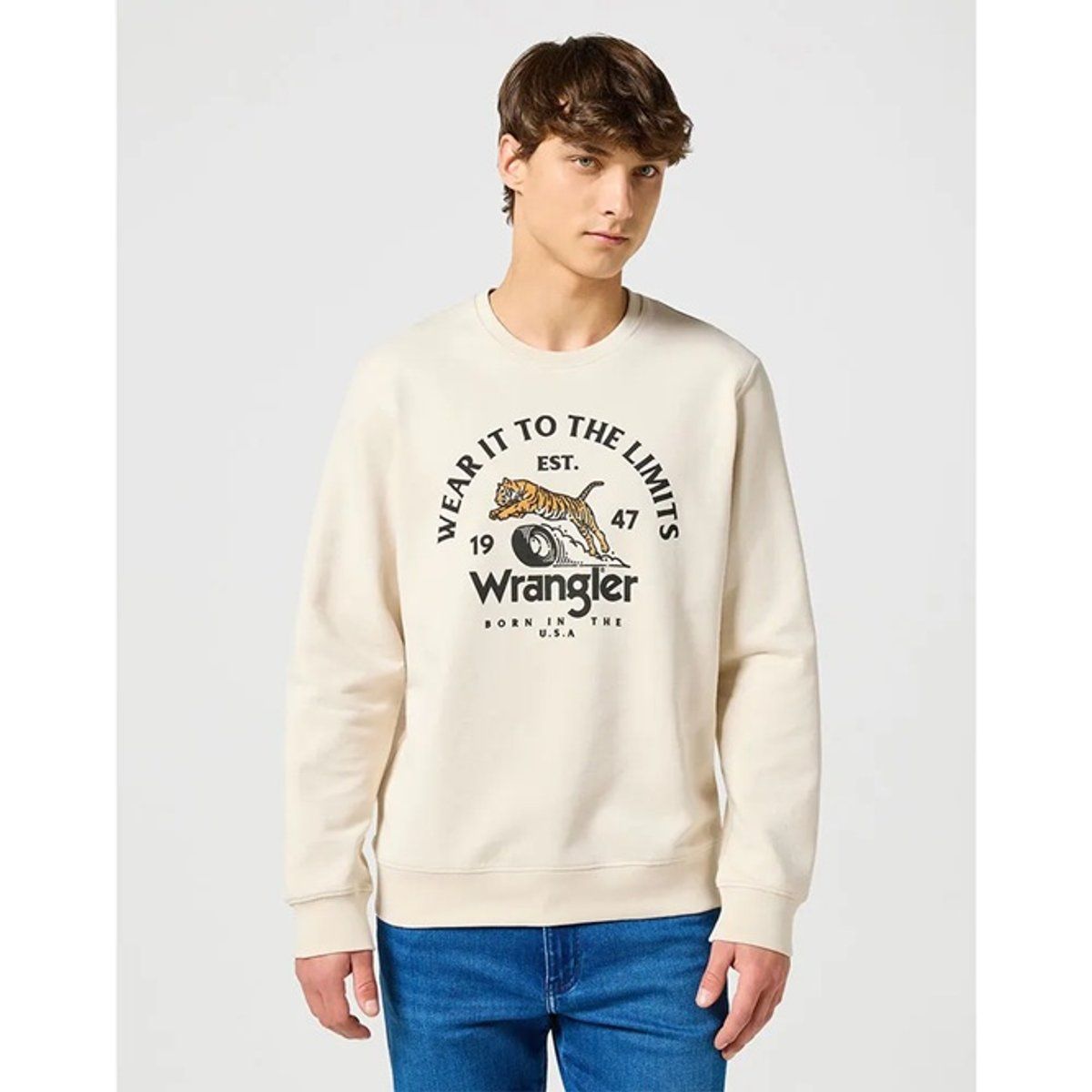 Vintage Grafik Print Rundhals Sweatshirt