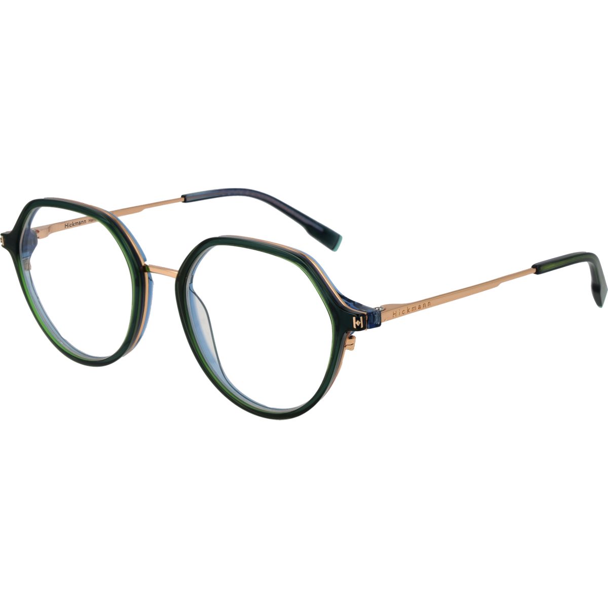 Ana Hickmann Brille HI6255 T01 52
