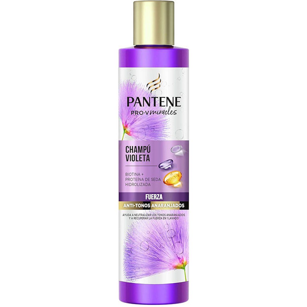 Pantene Violett Shampoo