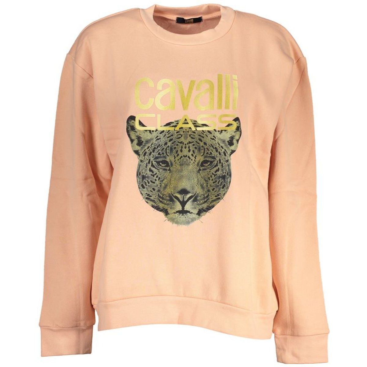 Sweatshirt mit Jaguar-Grafik-Print