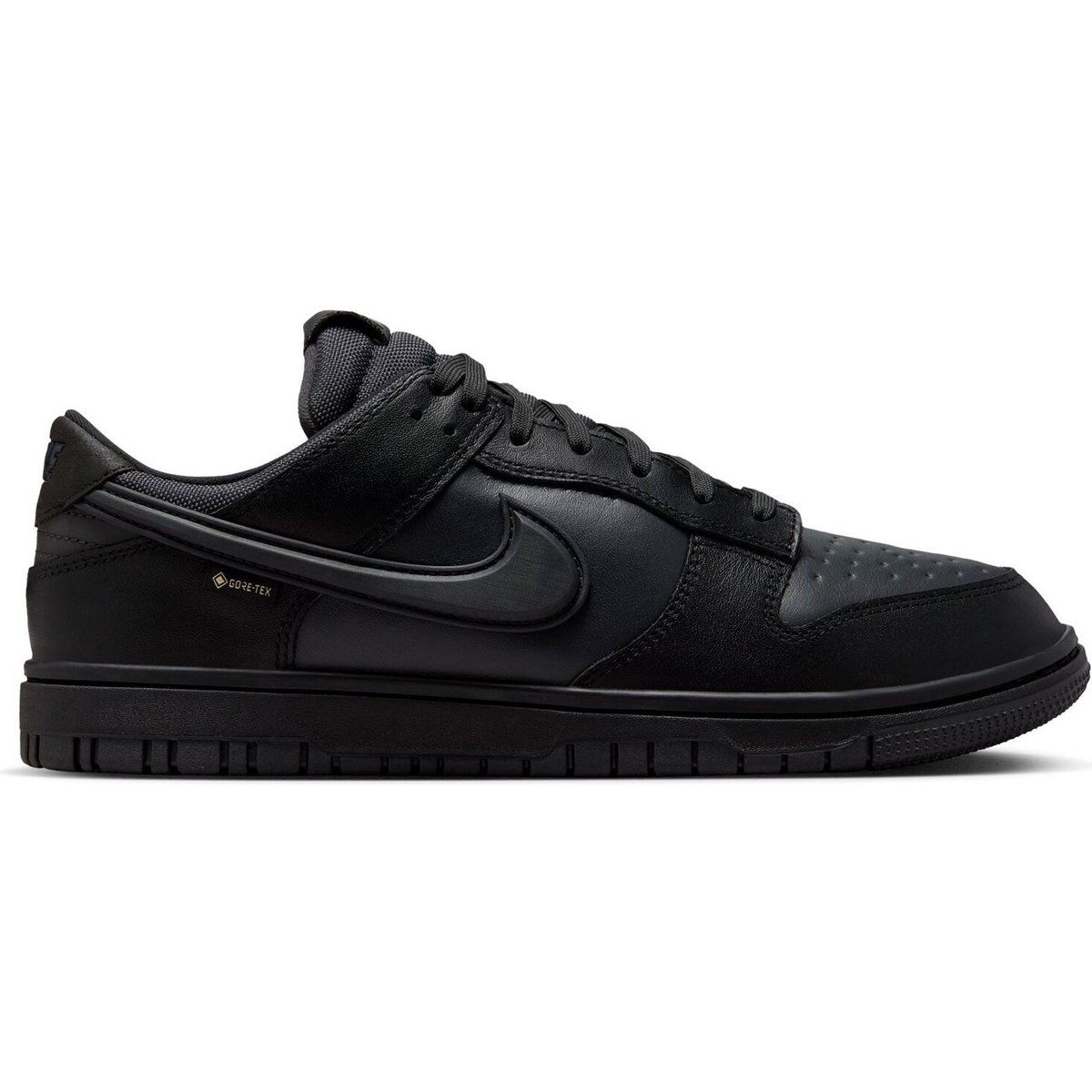 NIKE DUNK LOW GTX