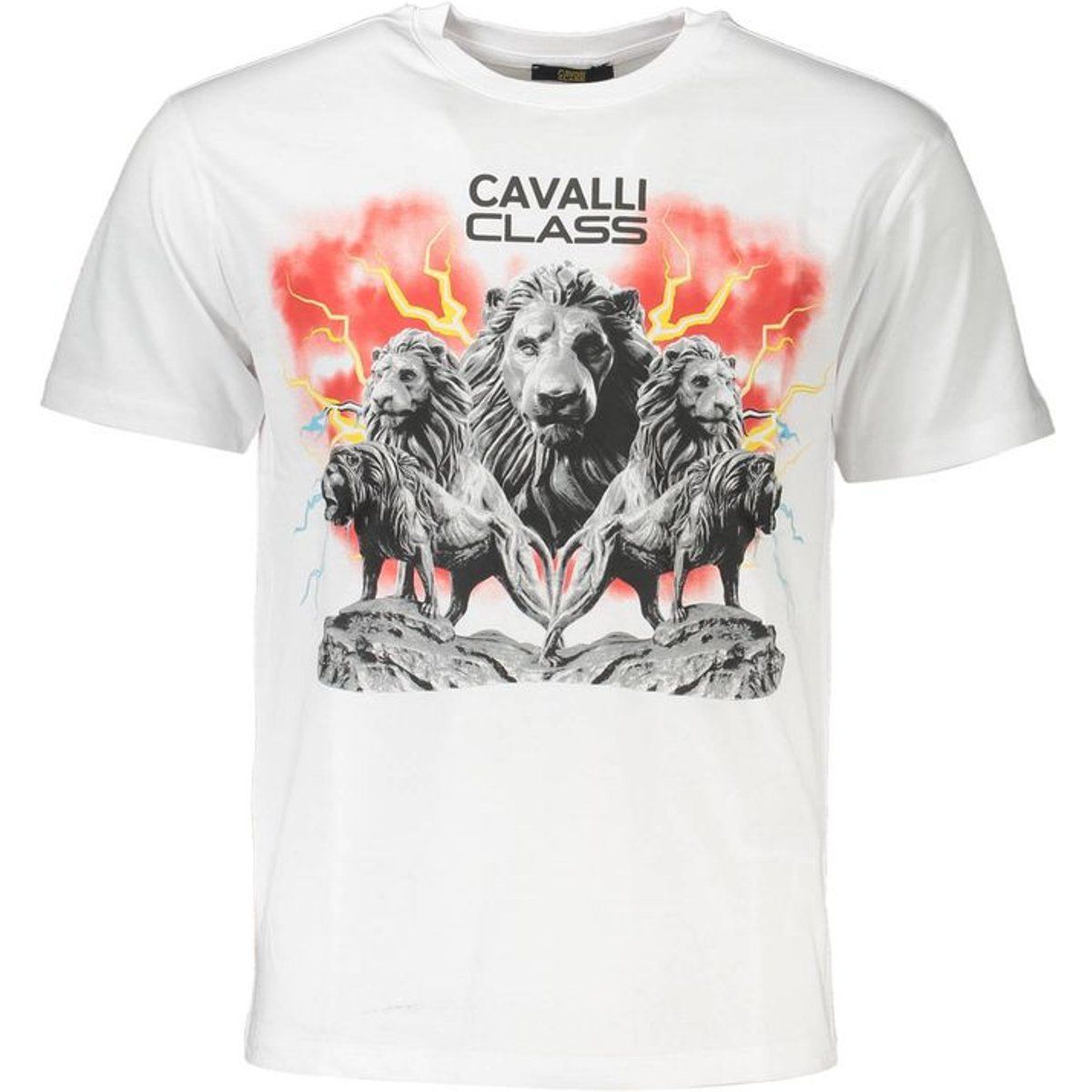 T-Shirt mit Löwen-Grafikprint aus Baumwolle