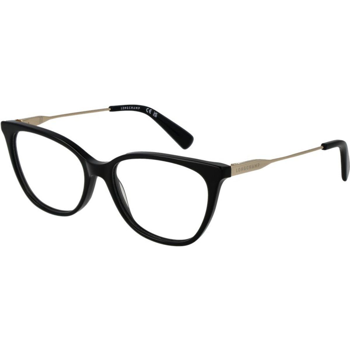 Schwarze Metallbrille (Gestelle)