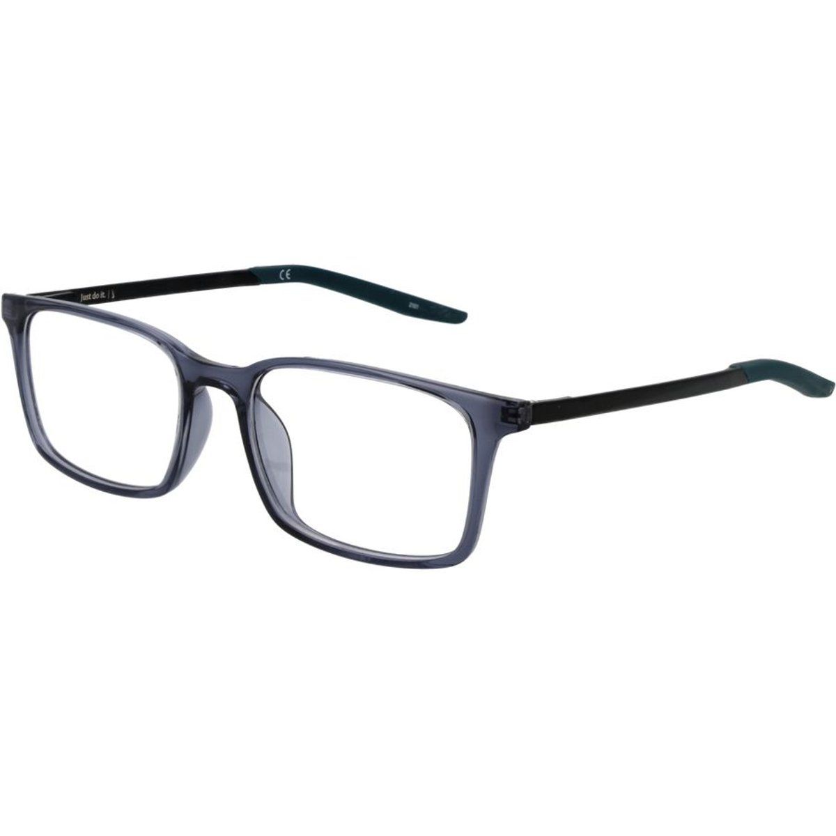 Blaue Plastikbrille (Gestelle)