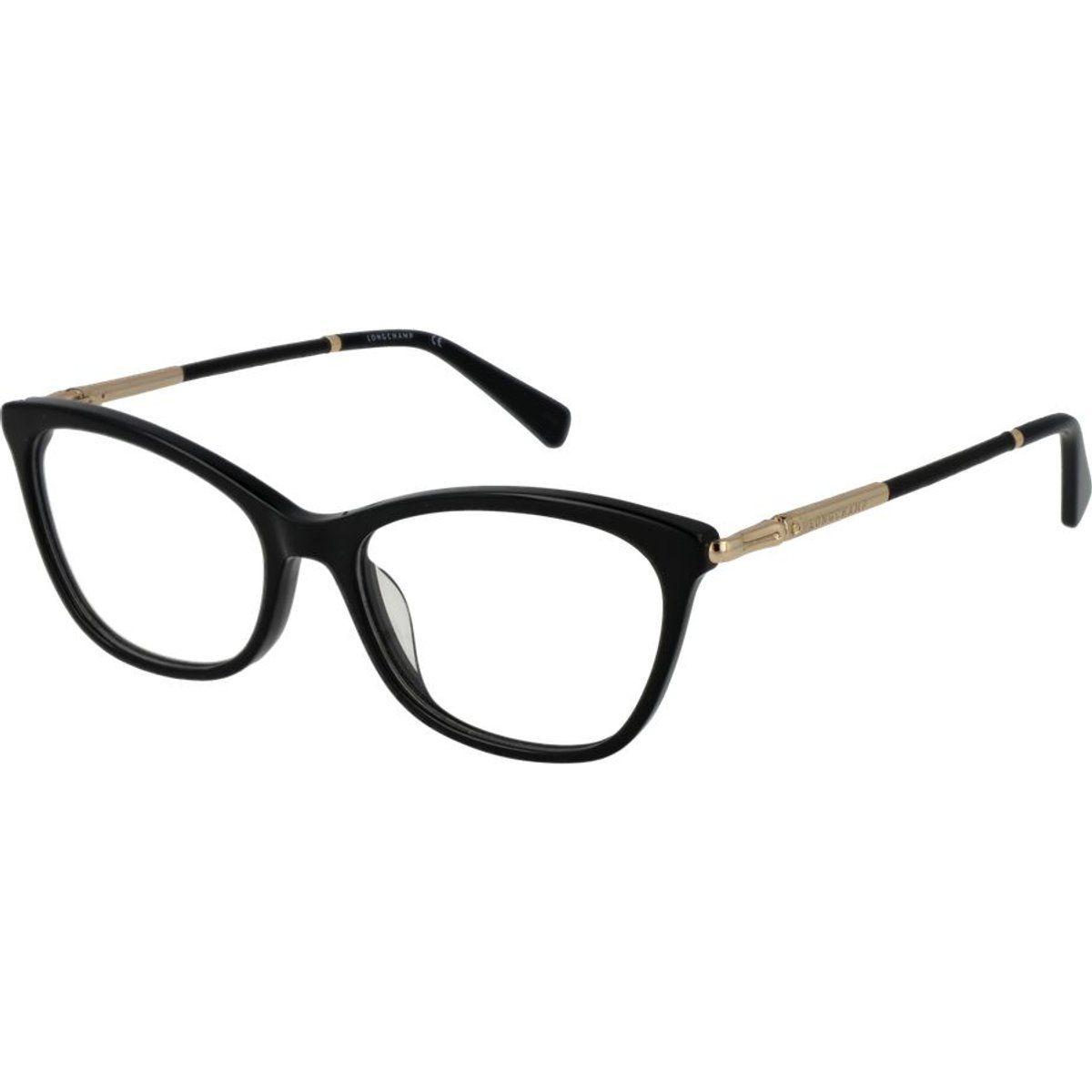 Schwarze Kunststoffbrille (Gestelle)