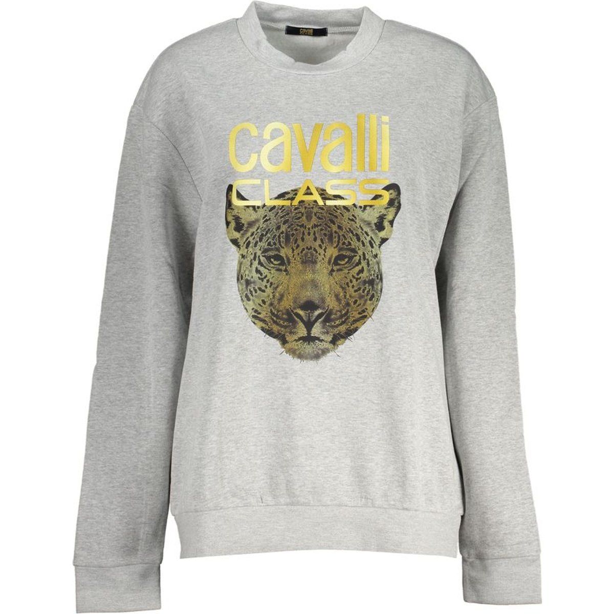 Sweatshirt mit Leopardenmuster und lockerer Passform