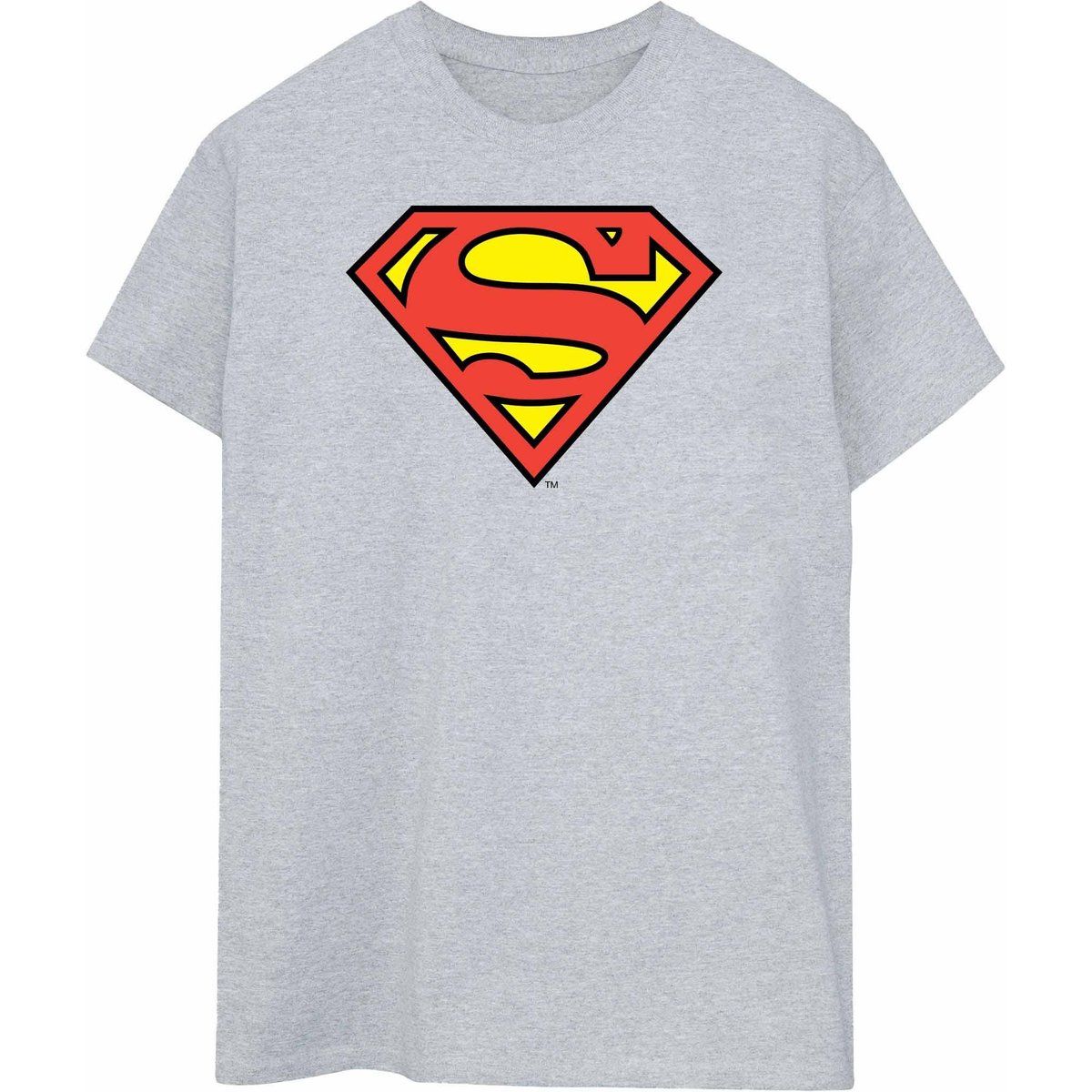 DC Comics - T-Shirt für Damen (Grau)