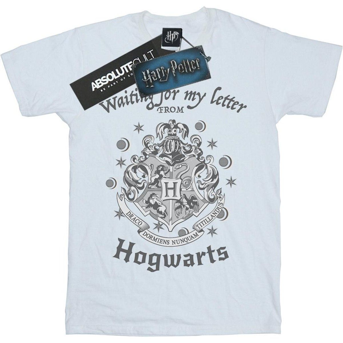 Harry Potter Hogwarts Brief Grafik T-Shirt