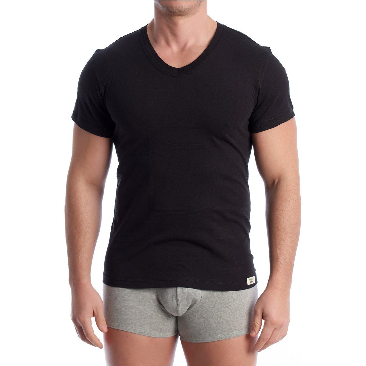 Herren Bio-Baumwoll T-Shirt mit V-Ausschnitt